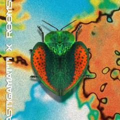 CASTIGAMATTI X ROOMSIX | CAMALLO - 15/11/2025