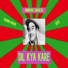 Dil Kya Kare (Remix)