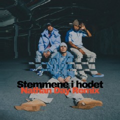 Broiler - Stemmene i hodet (Nathan Day Remix)