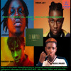 BEST OF FIREBOY DML, OMAH LAY, JOE BOY AND BOSS MANDI LATEST 2021 NIGERIAN MIX - DJ MAYOR