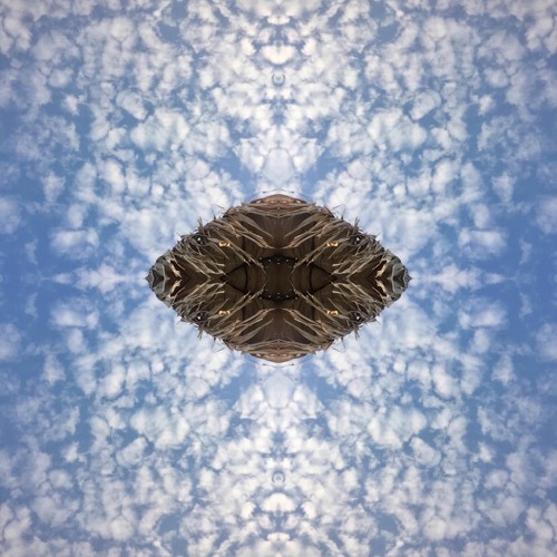μTime+ - composite set