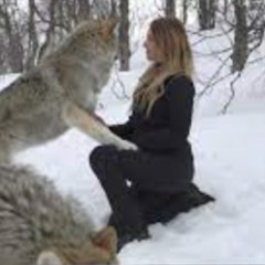 [XX$XX18+ VIDEOS] 2 wolf 1 girl viral video download