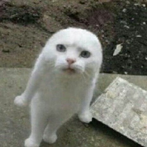 ericdoa - Disappointment