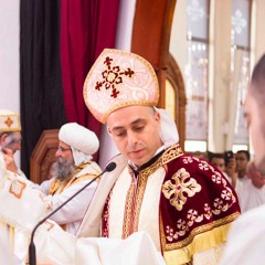 What is the will of God in my life? (Fr Samuel Fanous)