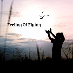 Feeling Of Flying