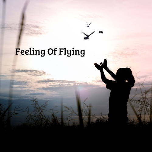 Feeling Of Flying