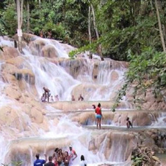 Review Special Price Montego Bay To Dunns River Falls Halfday Trip
