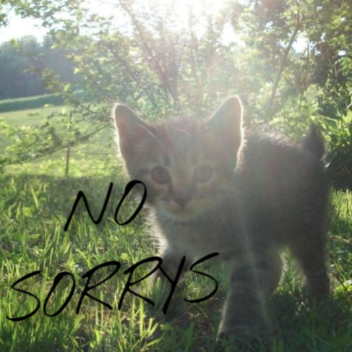 no sorrys