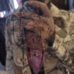 support my plan (hud2exotic x riplucky)