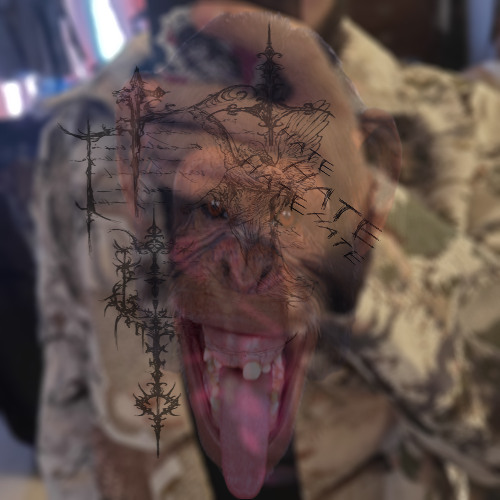 support my plan (hud2exotic x riplucky)