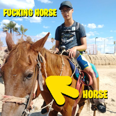 ethan on a horse