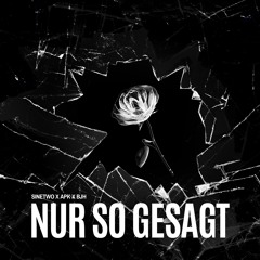Nur so gesagt - SineTwo X APK X BJH