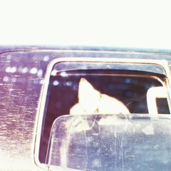 back seat