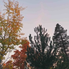 Little talks cover(light Reverb)