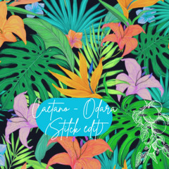 CAETANO VELOSO- ODARA ( STILCK EDIT )