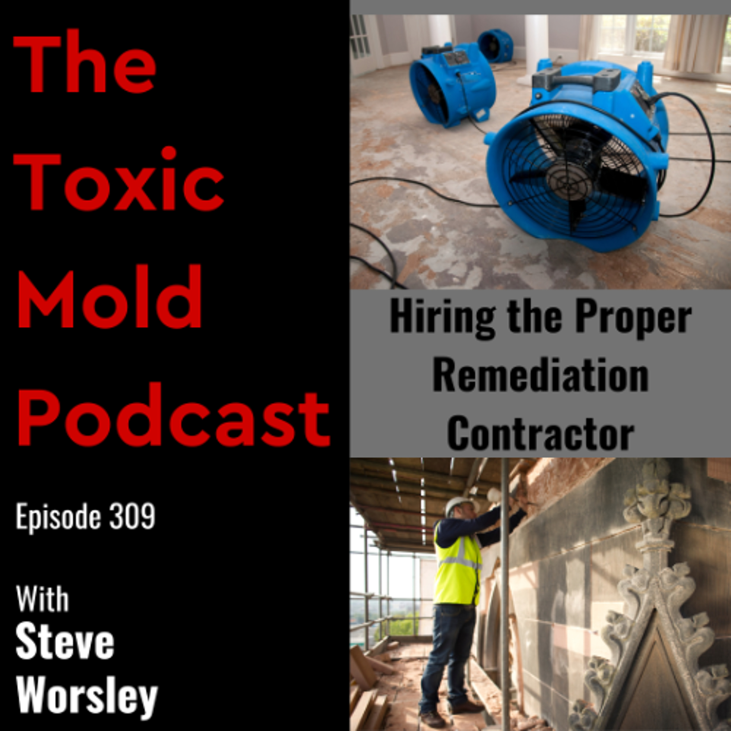 EP 309: Who Should You Hire For Toxic Mold Removal?
