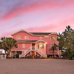 Pink House Vol. 2