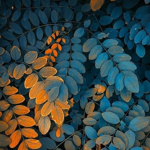 Sekiz - Gold Mercury Tok (Rap Remix).mp3