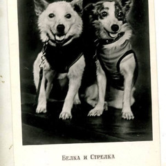 belca,why don't you bark?