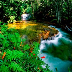 Deep Into The Jungle III Mix