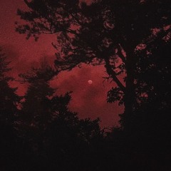 under the red moon [p. eskimos + 80root]