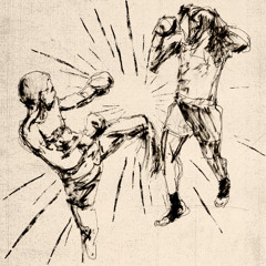 solo has dado un paso adelante... / combate (demo)