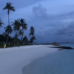 سورة فصلت - اسلام صبحي