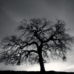 beat only 10/30(132bpm)