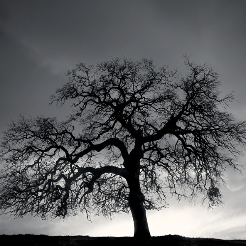 beat only 10/30(132bpm)