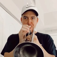 brucebeats - trumpet sample (flip)
