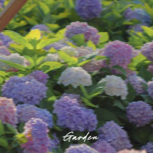 garden w/ jedwill
