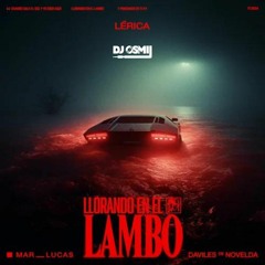 Lerica, Mar Lucas & Daviles de Novelda - Llorando En El Lambo 2 versiones (Dj Osmii Extended Coro)