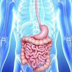 Digestive Diseases Helper | Relieve Pain & Improve Digestion & Increase Appetite