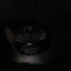 Doom_Slayer - REWORK - Something - Cleaned - Fake Master - again - Again - probally didnt even need to save this as new project - volume fix