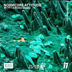 NormCore Attitude 19 w/ Marco Segato, FFT & Pessimist