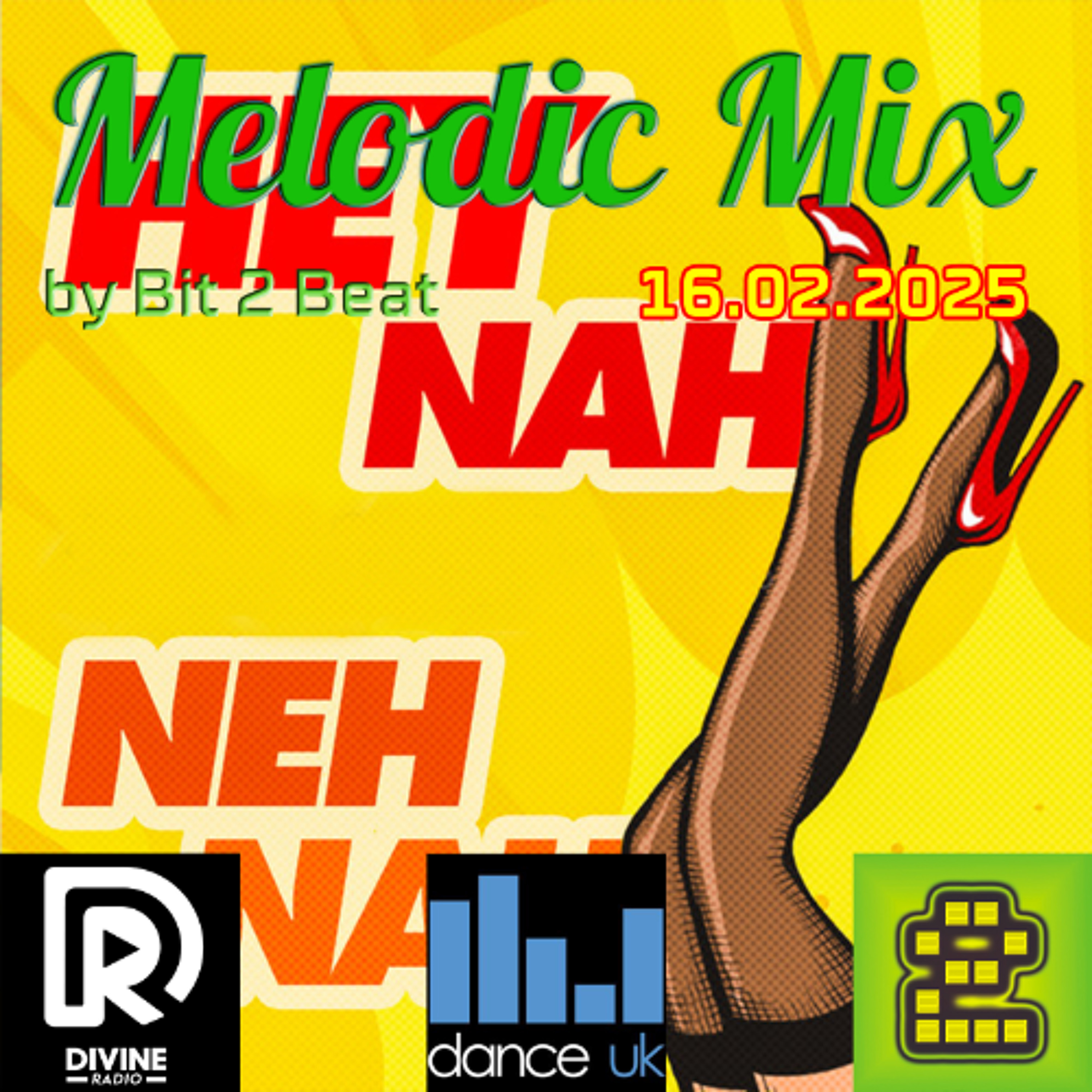 The Melodic House Show with Bit 2 Beat - 16 Feb 2025 (Free Download) episode artwork