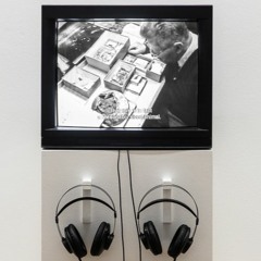 Daisy Hildyard | Animalesque Podcast: Part 3