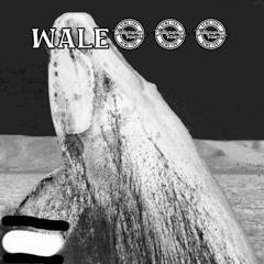 whale song fast