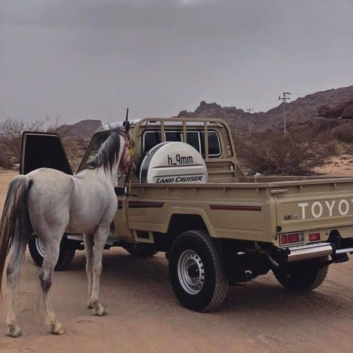 انا بدونك ما مرتاح ' سيف نبيل ' ..