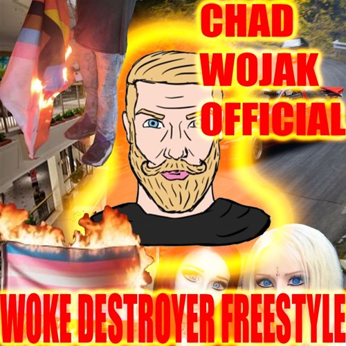 WOKE DESTRUCTION FREESTYLE