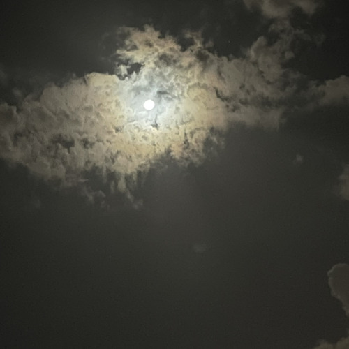 من بالحسن سيدي شراتك؟.