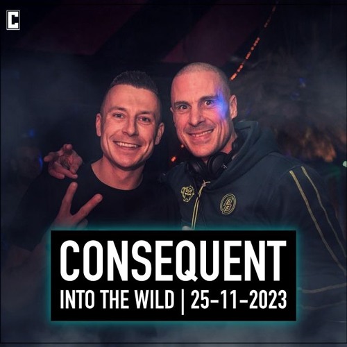Into The Wild - Consequent