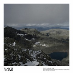 Annie Hall - RINº19 (Incl. Overturn & Inter Gritty Remixes) (RINº19)