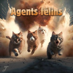 Agents  Felins
