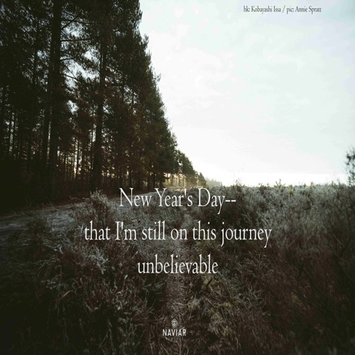 halF belieF [naviarhaiku469]