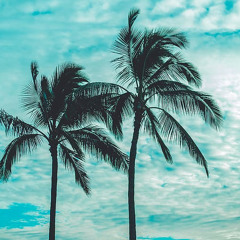 Jacks Chill Out Mix