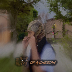 407 Mel "Eye Of A Cheetah" (Official Audio)