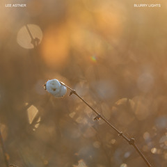 Blurry Lights