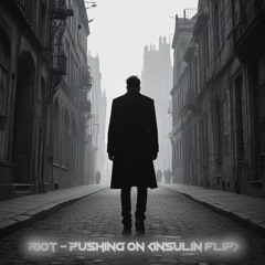 Riot -Pushing On (InSulin Flip)