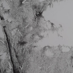 Untitled (Ambient reprise)